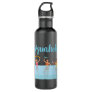 Aquaholic Water Aerobics Stainless Steel Water Bottle