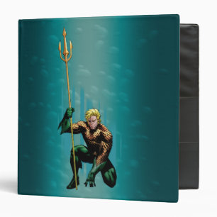 Aquaman Crouching Binder