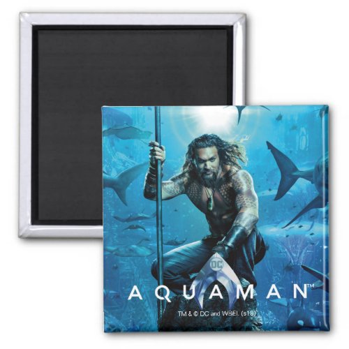 Aquaman  Prince Orin With Aquatic Animals Magnet