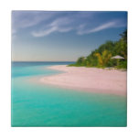 Aquamarine Ocean Tropical Beach Scenic Ceramic Tile<br><div class="desc">Ceramic tile with a beautiful photograph. A scenic tropical beach with aquamarine water and a white sandy beach with a lush forest in the back.</div>