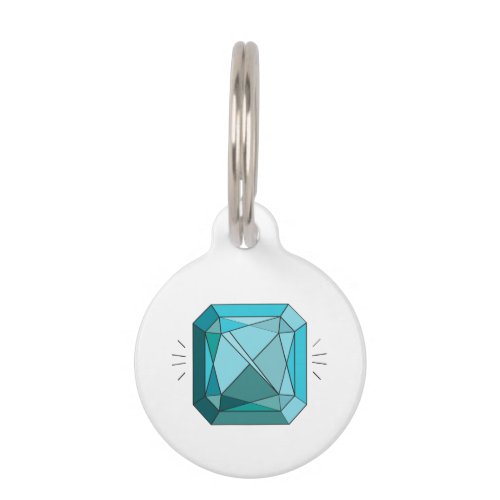 Aquamarine Pet ID Tag