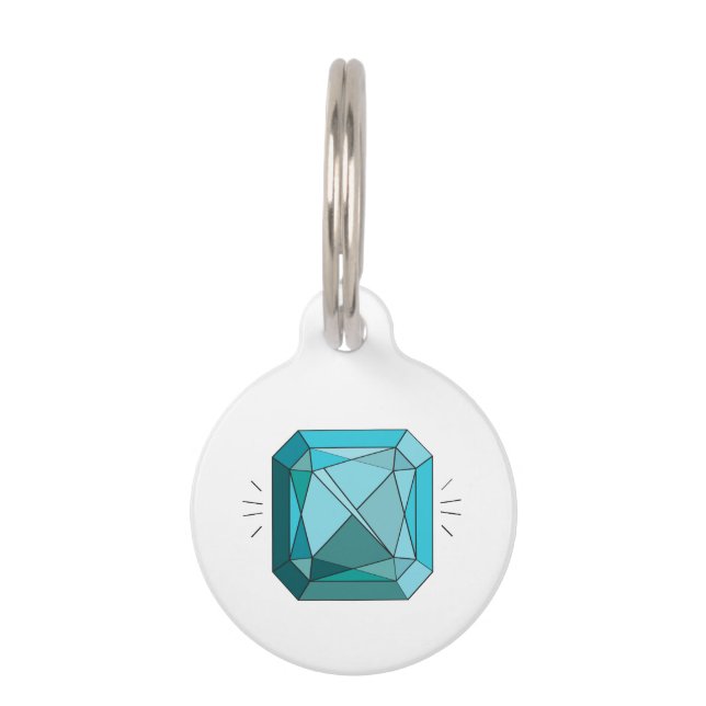 Aquamarine Pet ID Tag (Front)
