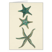Aquamarine Triple Starfish (Front)