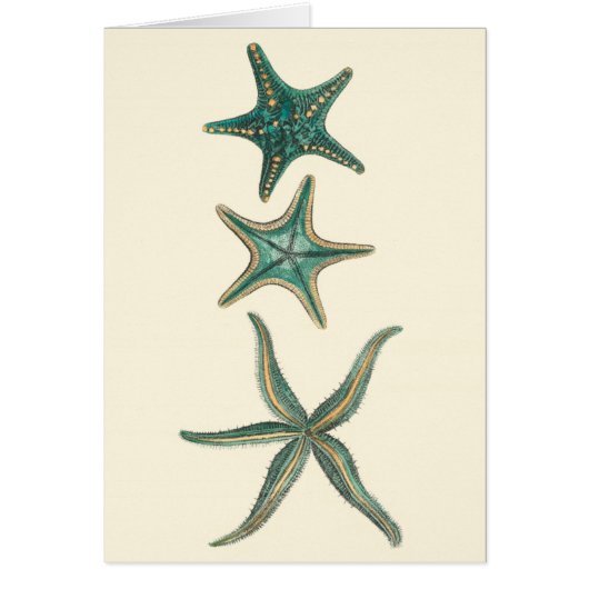 Aquamarine Triple Starfish (Front)