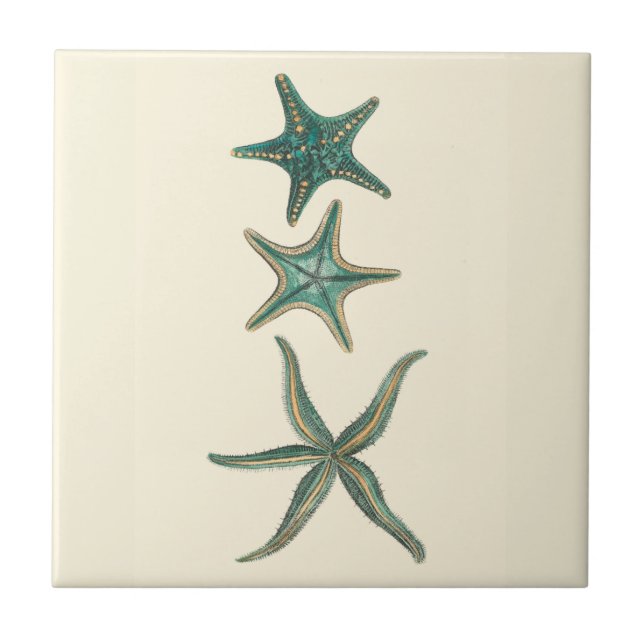 Aquamarine Triple Starfish Ceramic Tile (Front)