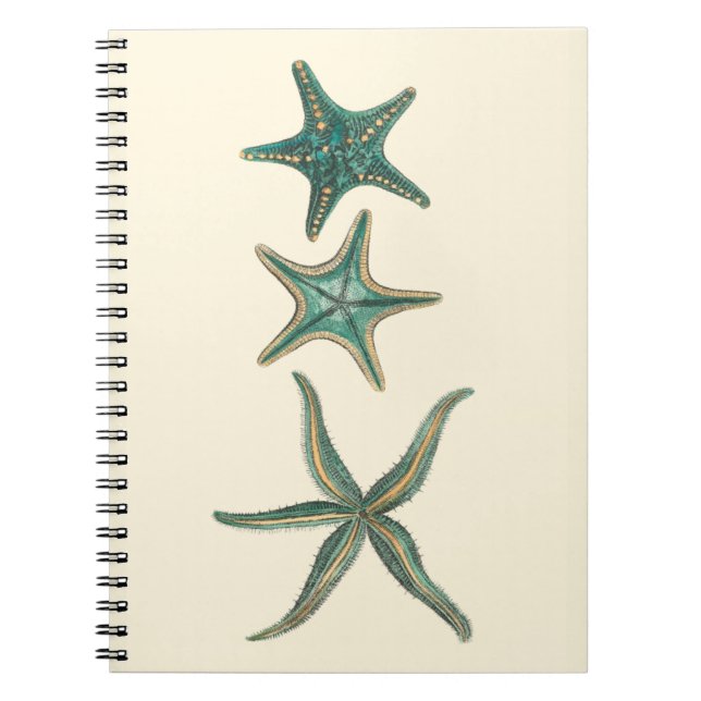 Aquamarine Triple Starfish Notebook (Front)