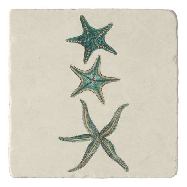 Aquamarine Triple Starfish Trivet (Front)