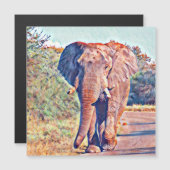 aquarell elephant (Front/Back)