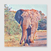 aquarell elephant (Front)