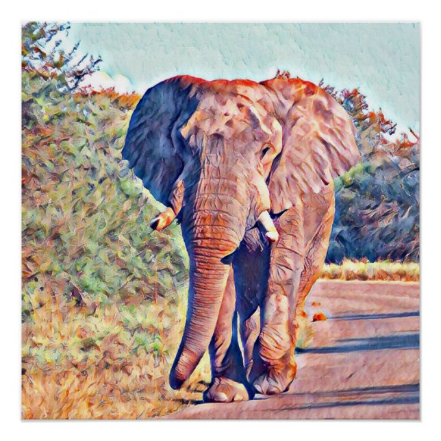 aquarell elephant poster (Front)