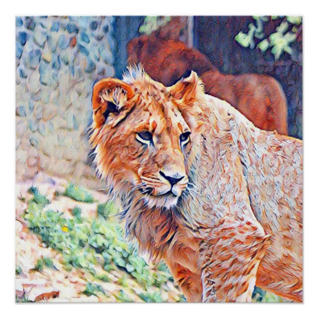 aquarell lion poster (Front)
