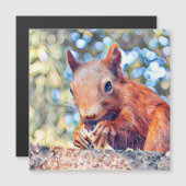 aquarell squirrel (Front/Back)