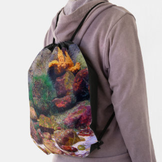 Aquarium bag