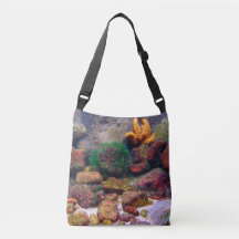 Aquarium bag
