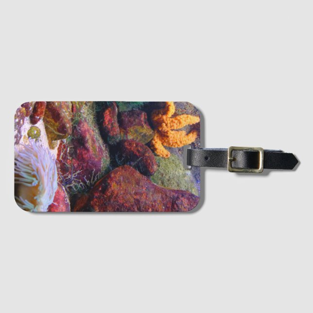 Aquarium bag luggage tag (Front Horizontal)
