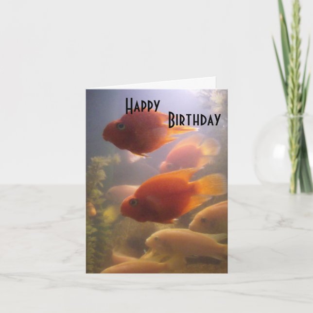 Aquarium Birthday Card (Front)