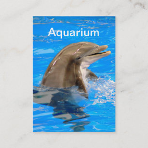 Aquarium Business Card with Dolphin