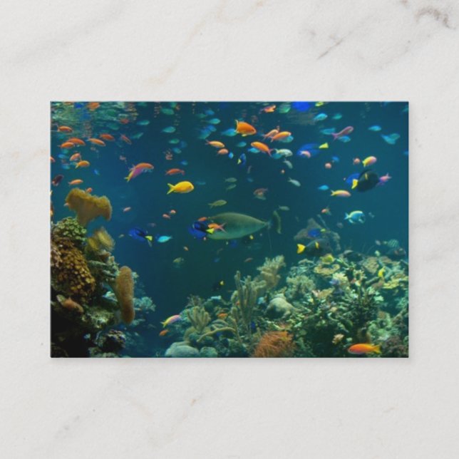 Aquarium Business Cards Template (Front)