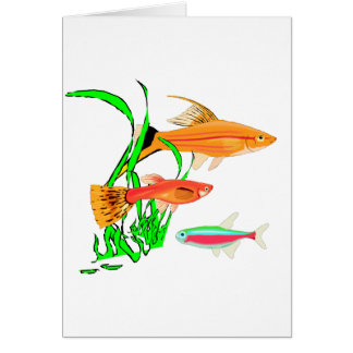Aquarium Cards