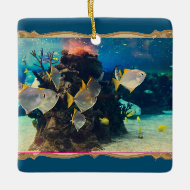 Aquarium Fish Ceramic Ornament Zazzle