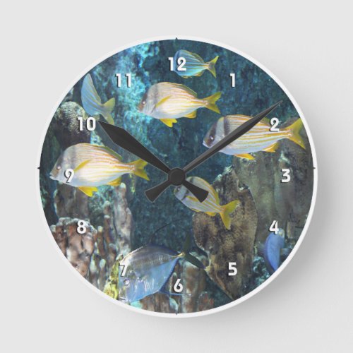 Aquarium Fish Wall Clock