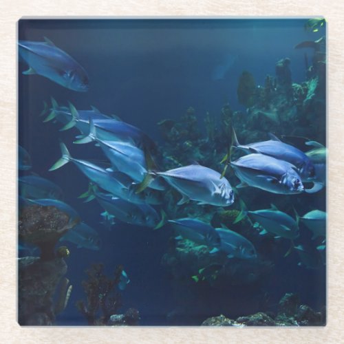 Aquarium Glass Coaster