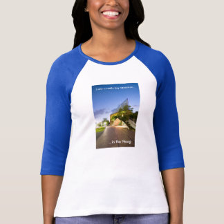 Aquarium in the 'Noog 3/4 Sleeve Raglan T-Shirt