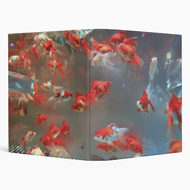 Aquarium Marble Fish 3 Ring Binder (Background)