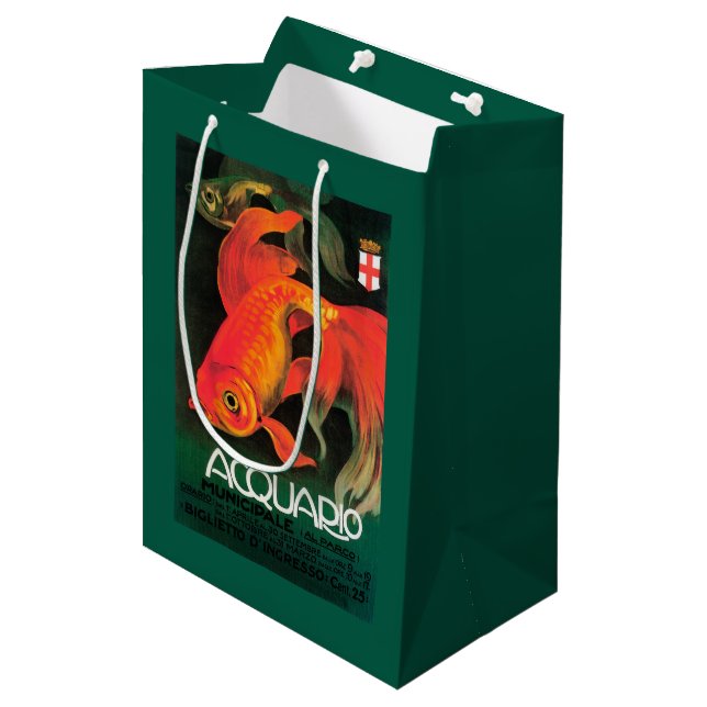 Aquarium & Municipal Park Promotional Poster Medium Gift Bag (Front Angled)