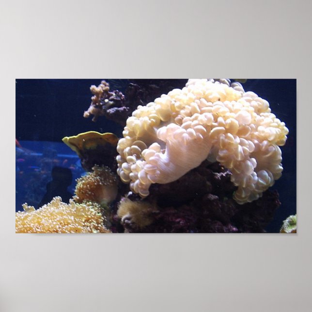 Aquarium Mural Background Poster (Front)