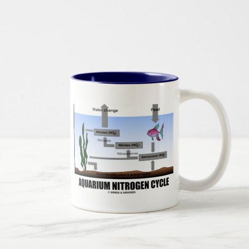 Aquarium Nitrogen Cycle Ecology Two_Tone Coffee Mug