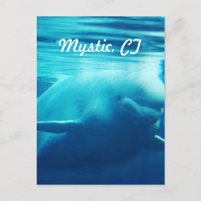 Aquarium Postcard (Front)