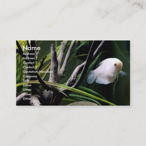 Customizable Aquarium Profile Cards Business Cards