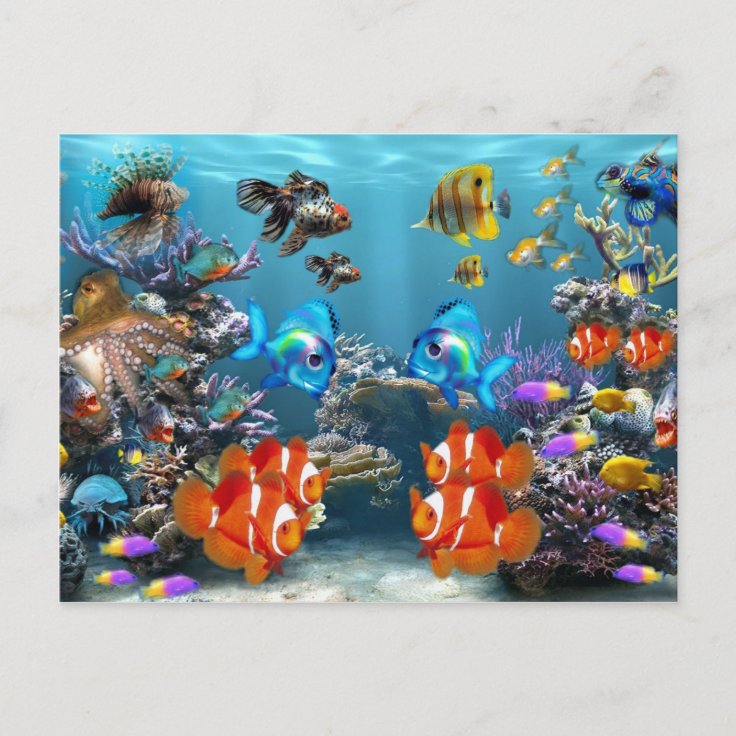 Aquarium Sealife Style Postcard | Zazzle