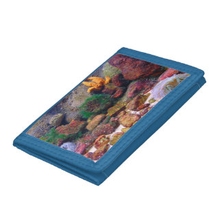 Aquarium Trifold Wallet