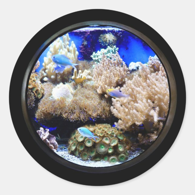 Aquarium Tropical fish and coral  Classic Round Sticker (Front)