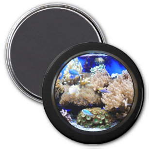 Aquarium Tropical fish and coral Magnet