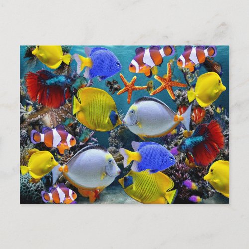 aquarium tropical fish fishing postcard