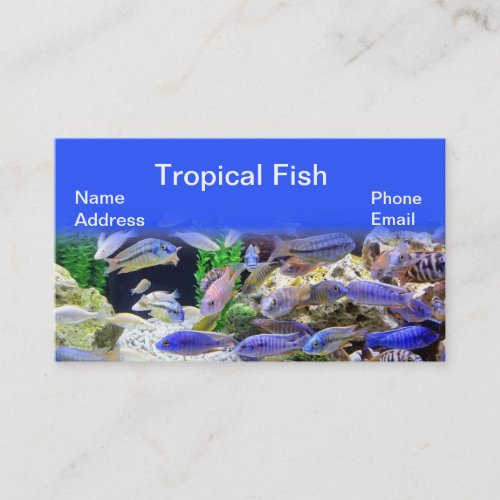 Aquarium with beautiful colorful tropical fish business card