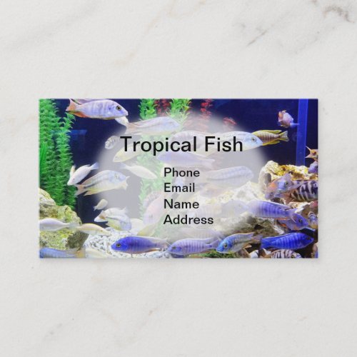 Aquarium with beautiful tropical fish business card