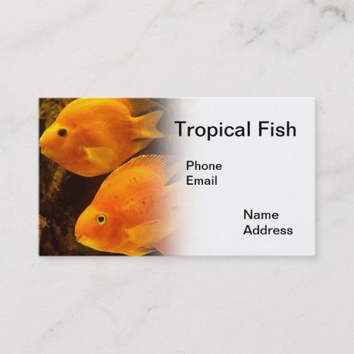 Aquarium with beautiful tropical orange color fish business card