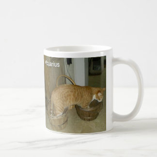 Aquarius Cat Zodiac Sign Mug