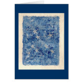 AQUARIUS CONSTELLATION (Front)