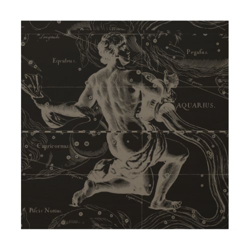 Aquarius Constellation Hevelius 1690 on Black Wood Wall Art