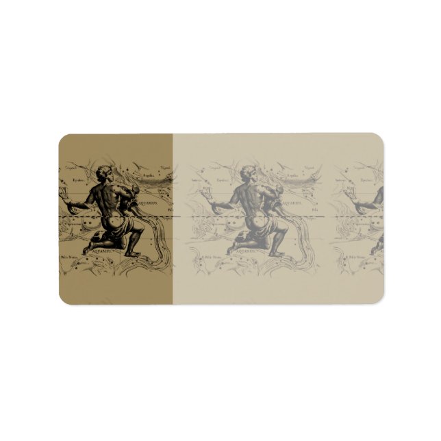 Aquarius Constellation Map Hevelius 1690 on Taupe Label (Front)