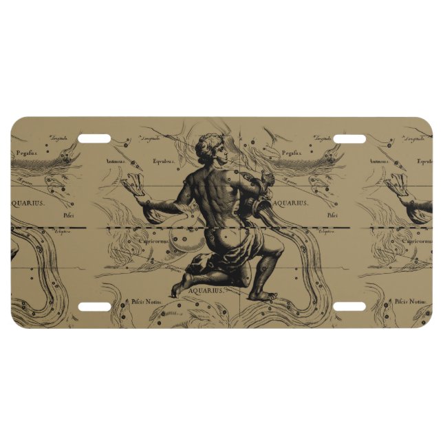 Aquarius Constellation Map Hevelius 1690 on Taupe License Plate (Front)