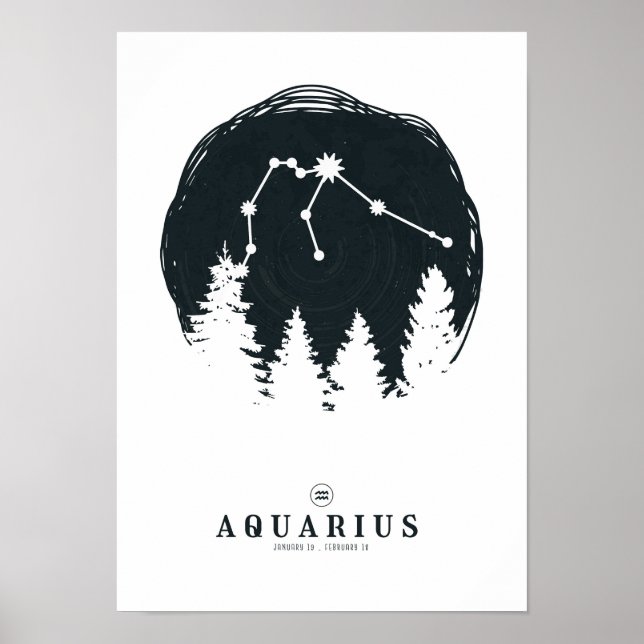 Aquarius Constellation Zodiac Poster (Front)