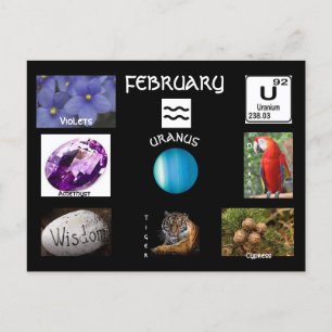 Aquarius february  Birth Month Postcard