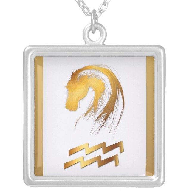 Aquarius Horse Chinese Western Astrology Birthday Silver Plated Necklace (Front)
