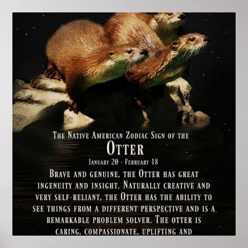 Aquarius is the  Otter Canvas Poster